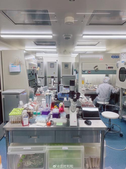 深度解析试管助孕对卵巢的影响：科学认知与专业机构的选择指南